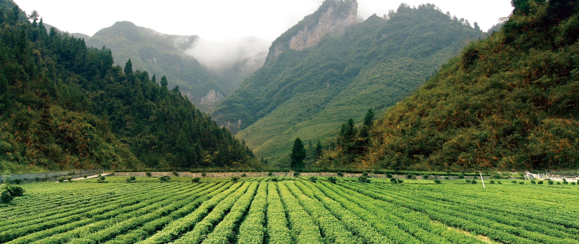 加拿大pc28预测(中国区)官方网站