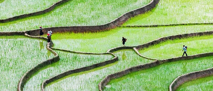 加拿大pc28预测(中国区)官方网站